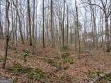 8.5 ACRES Rockbridge Road - Photo 8