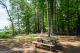 1231 Spinnaker Road - Photo 74