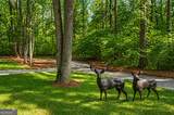 2995 Gum Creek Road - Photo 50