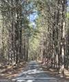 2 WEST Dry Pond Road - Photo 4