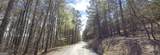 6 WEST Dry Pond Road - Photo 11