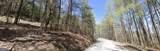 6 WEST Dry Pond Road - Photo 14
