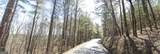 6 WEST Dry Pond Road - Photo 9