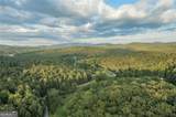 140 Black Oaks Road - Photo 29