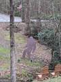 7250 Timber Trail - Photo 83