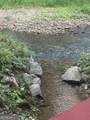 531 Hidden Valley Road - Photo 28