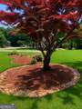1835 Winding Crossing Trail - Photo 3