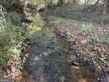 7.65 ACRES Baker Rd - Photo 21
