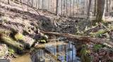 6155 (LOT #1) Little Ridge Road - Photo 8