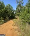 0 County Road 49 - Photo 2