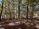 29 Forked Leaf Road - Photo 4