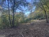 0 County Road 432 Lot 6 - Photo 13