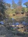 0 County Road 432 Lot 6 - Photo 7