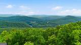 990 Hickory Nut Mountain - Photo 3