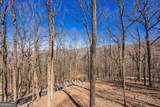 1006 Chestnut Cove Trail - Photo 29