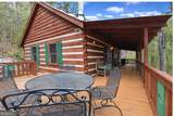 206 Misty Hollow - Photo 7