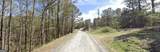 2 WEST Dry Pond Road - Photo 10