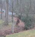 7250 Timber Trail - Photo 95