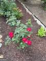 531 Hidden Valley Road - Photo 72