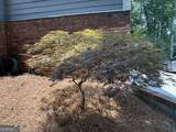 2160 Lakeway Drive - Photo 5