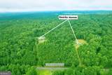 LOT 1 Flowery Branch Road - Photo 3