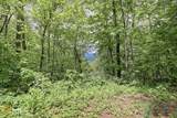 0 Deep Woods - Photo 4
