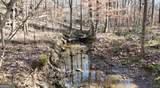 6155 (LOT #1) Little Ridge Road - Photo 7