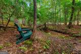 421 Weeks Creek Road - Photo 59