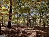 29 Forked Leaf Road - Photo 9