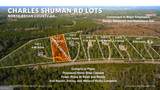 LOT 1 Charles Shuman Road - Photo 1