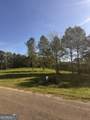 0 County Road 432 Lot 6 - Photo 4