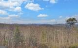 990 Hickory Nut Mountain - Photo 66