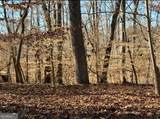 0 Arrowhead Court - Photo 2