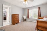 4562 Willow Oak Trail - Photo 36