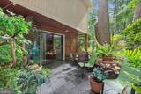3380 Fawn Trail - Photo 58