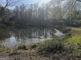 169 Wildhorse Cove Circle - Photo 4