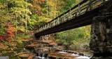 520 Choctaw Pass - Photo 41