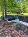 531 Grant Road - Photo 6