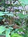 3227 Aviary Court - Photo 33