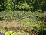 1146 Lakeshore Drive - Photo 48