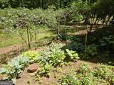 1146 Lakeshore Drive - Photo 50