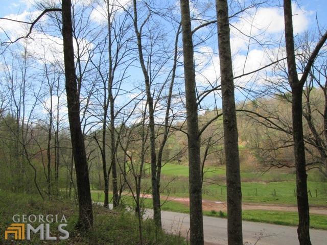 0 Jack Walker Rd - Photo 1