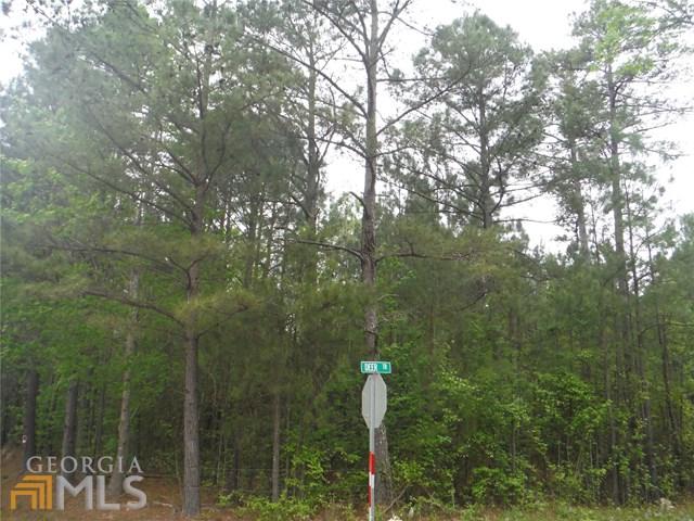 0 Deer Trl - Photo 1