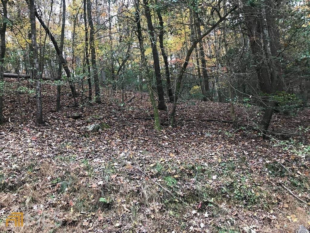 LT657 Satsuma Court - Photo 1