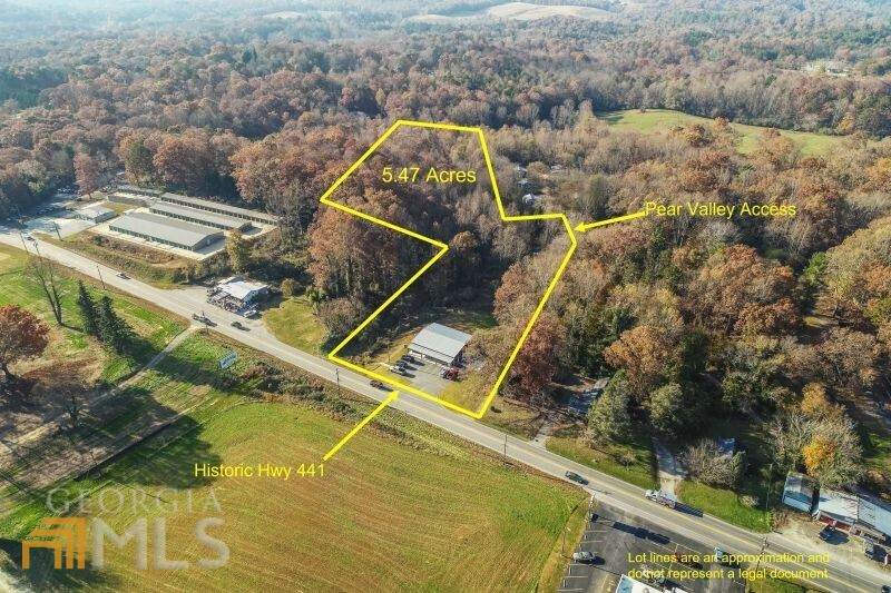 1423 Historic Hwy 441 - Photo 1