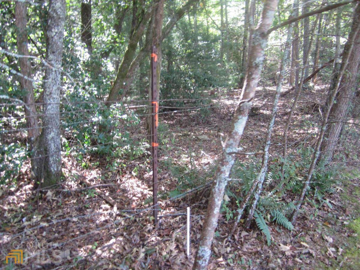 LT 21 Anns Way - Photo 1