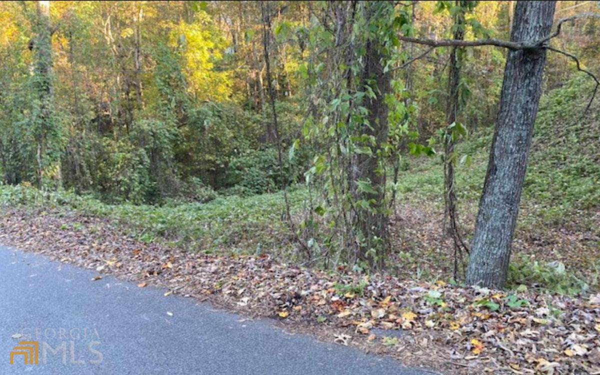 L 14 Ridgehaven Trail - Photo 1