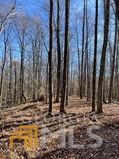 76 Tally Cove Road - Photo 1
