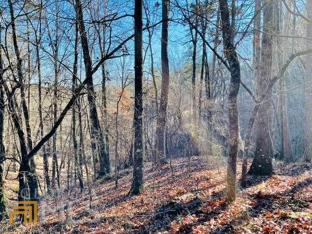 62/63 Placer Mining Road - Photo 1