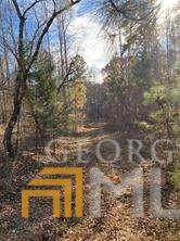 0 Coppermine Rd - Photo 1